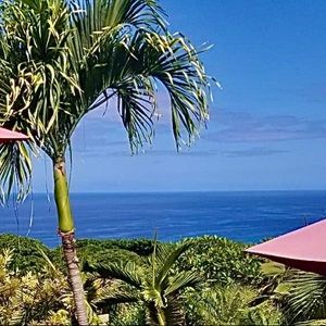 Meet your Posher, Susana